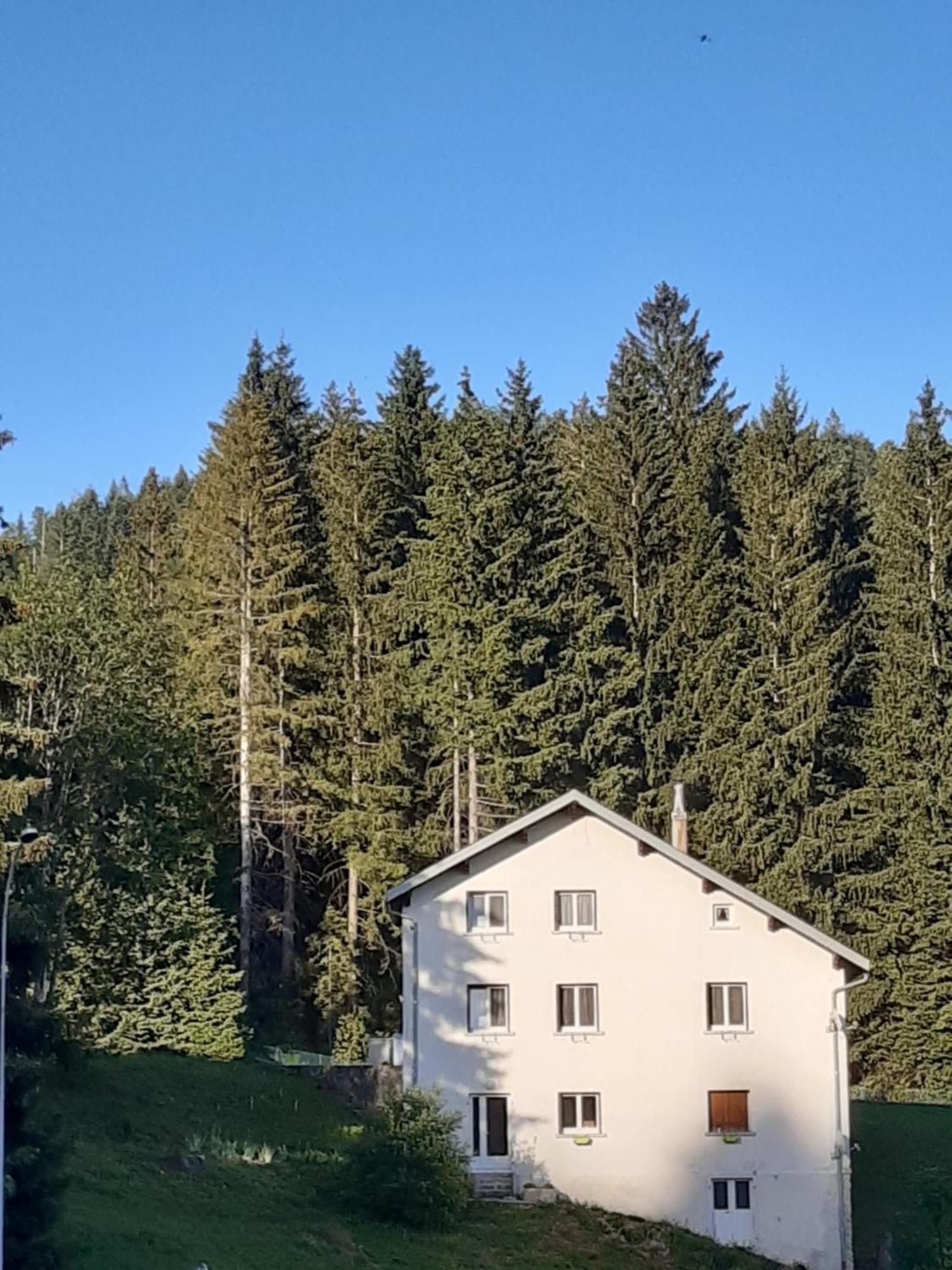 Gîte la fourmilière Morbier Esterno foto